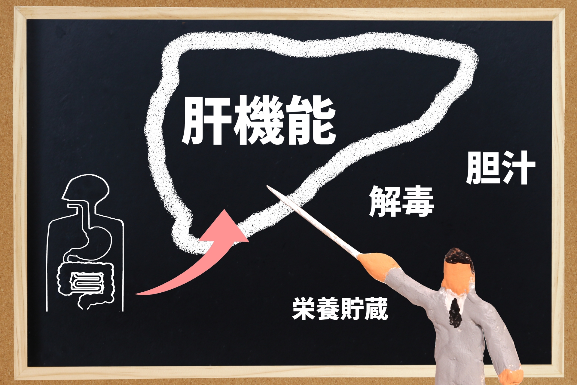 「防風通聖散」でダイエット中の方へ 知っておきたい「黄芩（オウゴン）」のリスクと肝機能チェック