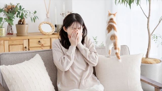 免疫の「記憶」と「暴走」：動物アレルギーが発症するメカニズムを徹底解説