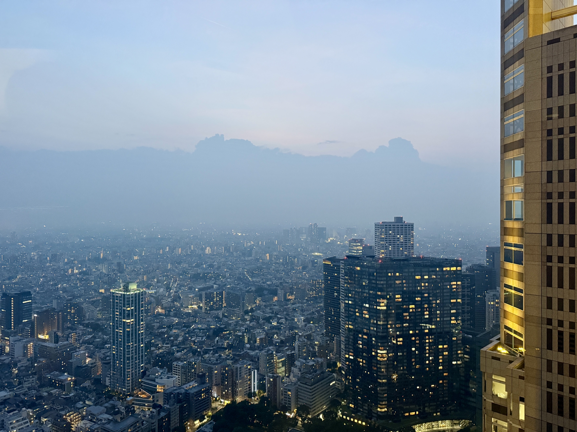 春の咳やくしゃみ、もしかして黄砂かも？〜知っておきたい「黄砂アレルギー」の真実と対策〜