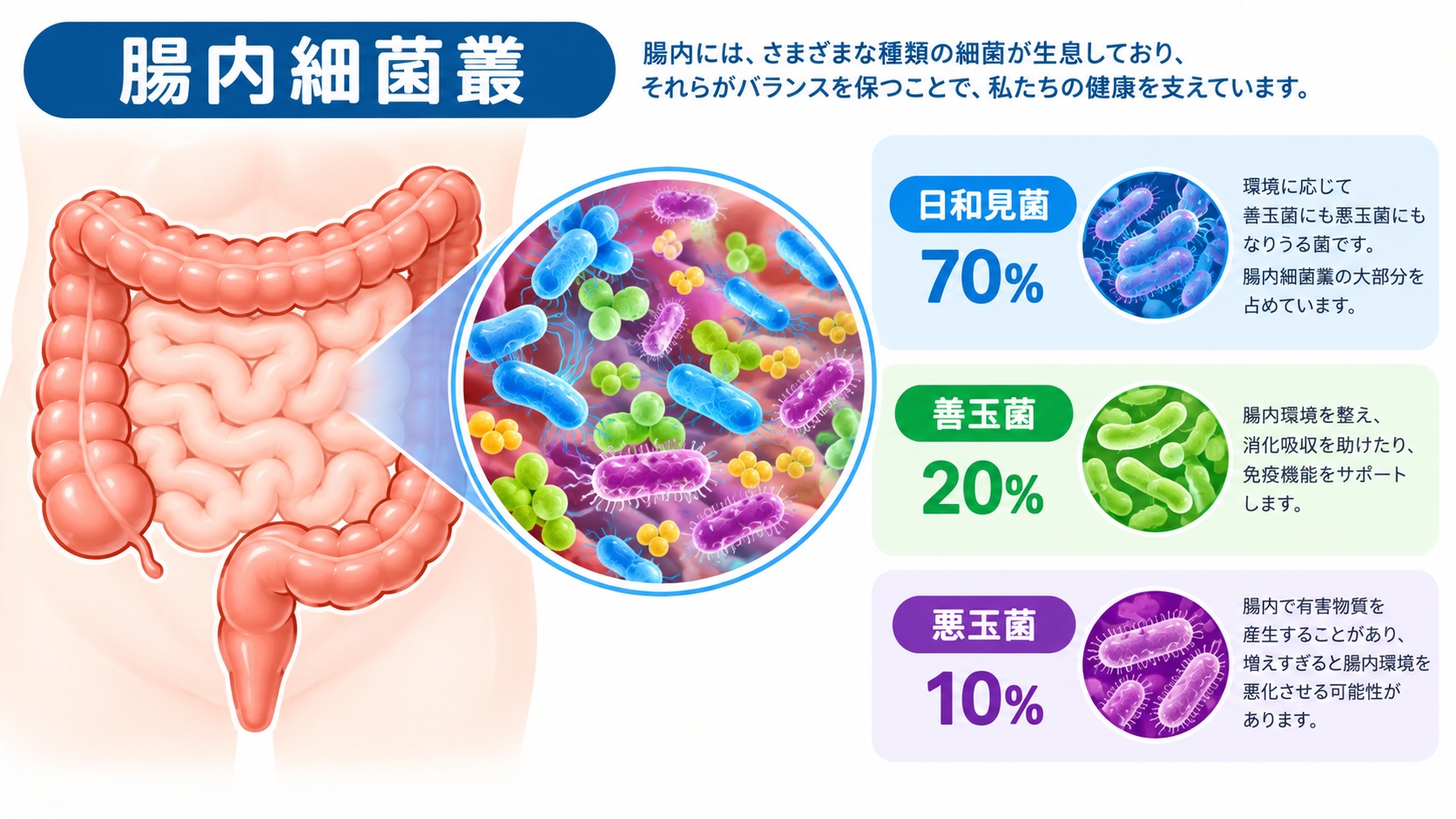 腸内細菌シリーズ 総まとめ——ビフィズス菌・酪酸菌・乳酸菌・糖化菌・耐性乳酸菌製剤