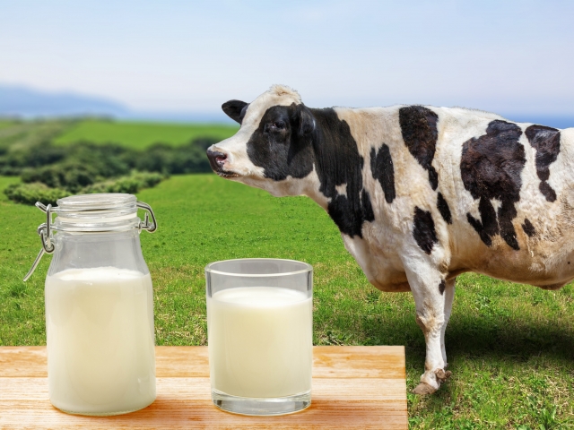 牛乳アレルギーとは？乳糖不耐症との違い、検査と表示の見方