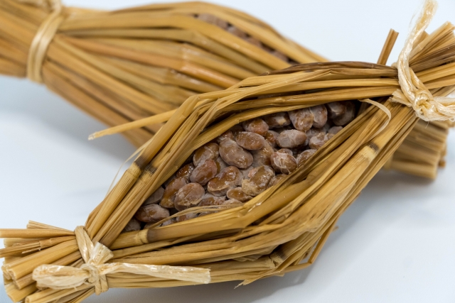 納豆菌とは？「体にいい」はどこまで本当か、研究でわかっていること